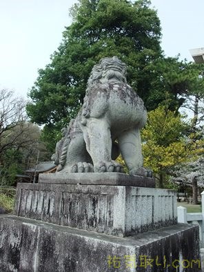 武田神社19