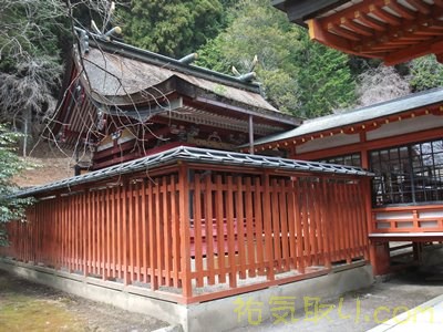 金櫻神社18