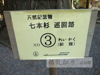 河口浅間神社31