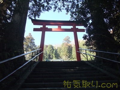 箱根神社17
