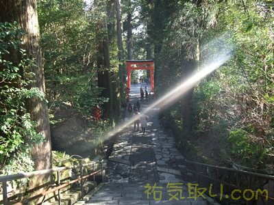 箱根神社64